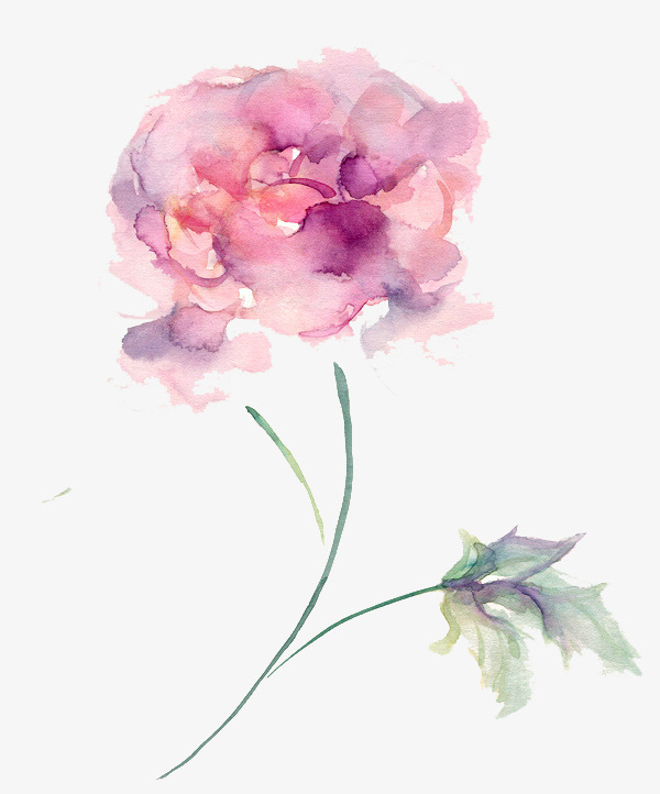 水彩粉色花朵