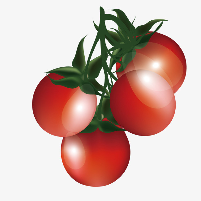 夏季圣女果番茄水果元素