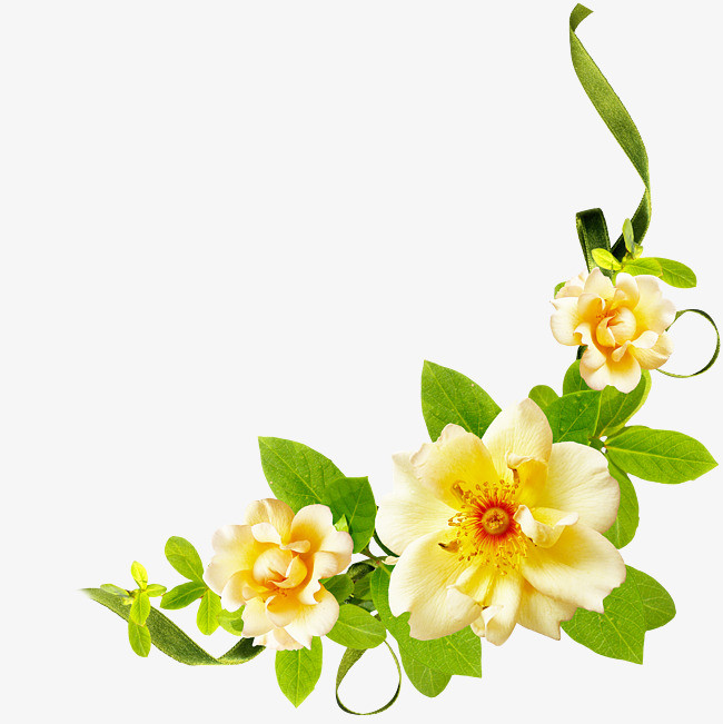 黄色花卉装饰图案