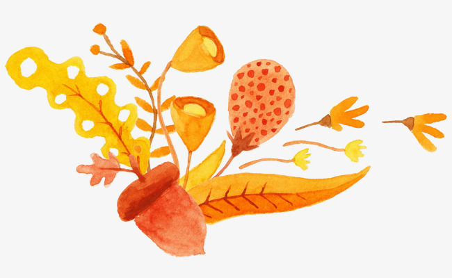 卡通橘色植物手绘绘画