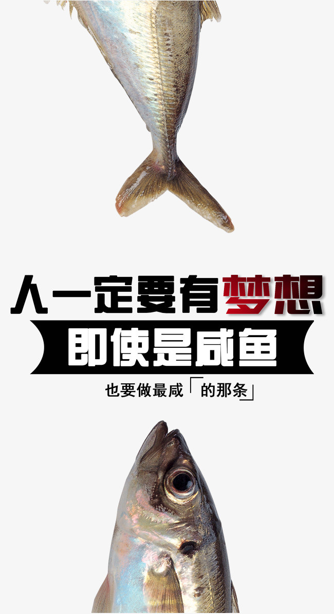 人一定要有梦想即使是咸鱼海报