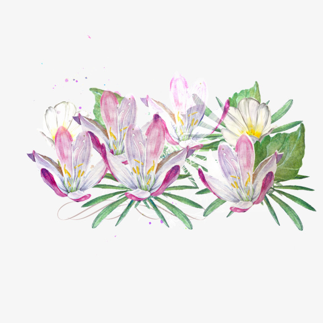 手绘水彩花卉装饰图案