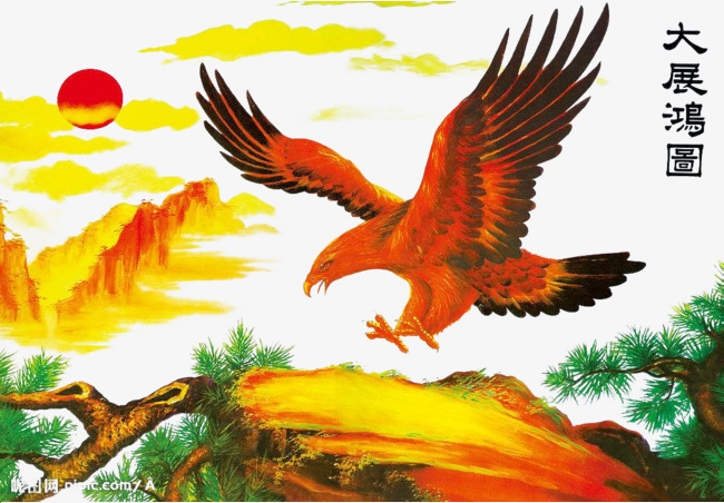 大展鸿图鹰