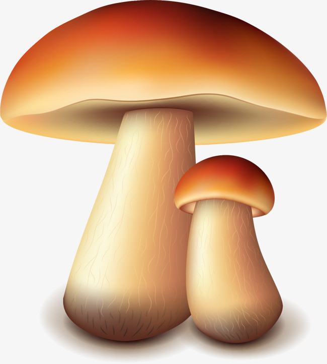 食物 蘑菇png素材-90设计