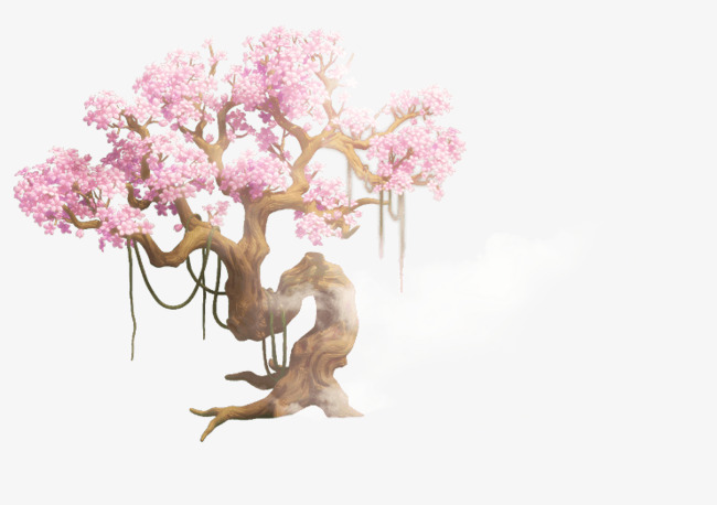 古老树木上的花朵