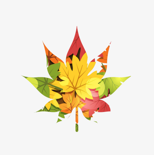 创意枫叶png素材-90设计