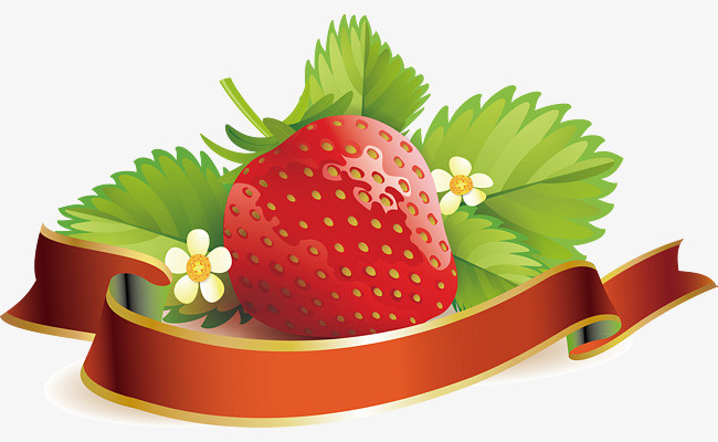 草莓装饰矢量设计