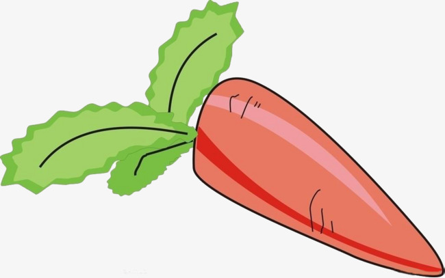 青萝卜胡萝卜