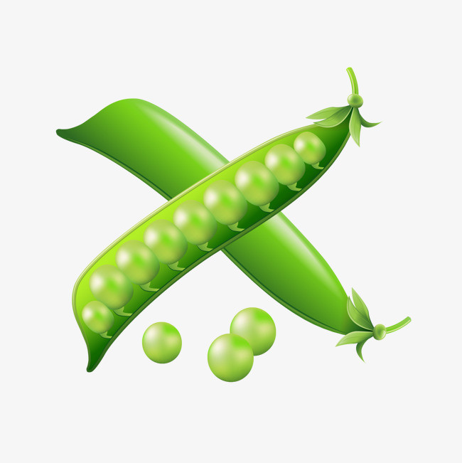 矢量豆角