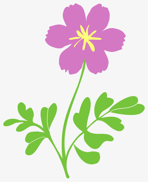 手绘小花png素材-90设计