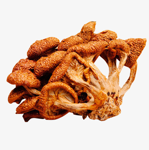黄褐色干货png素材-90设计