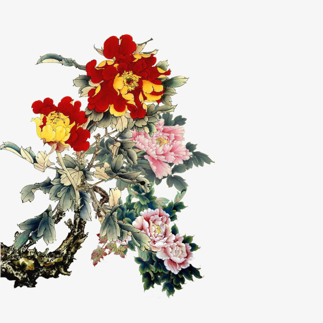 中国风手绘花卉