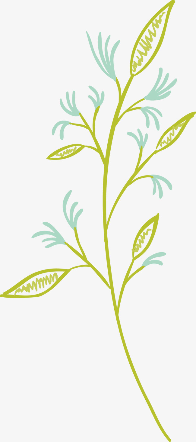 彩绘植物