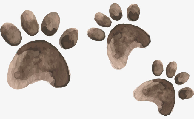 卡通熊掌艺术字体素材设计电商儿童