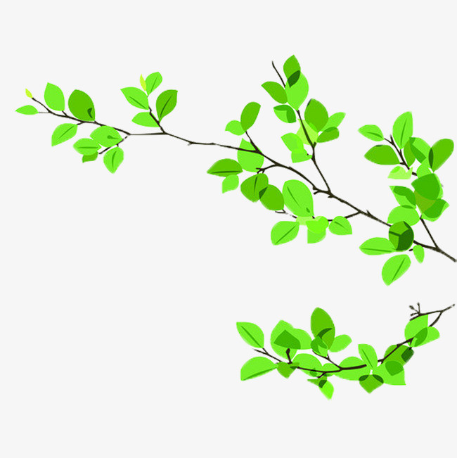 现代简约绿色树枝