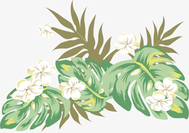 芭蕉叶艺术装饰图案