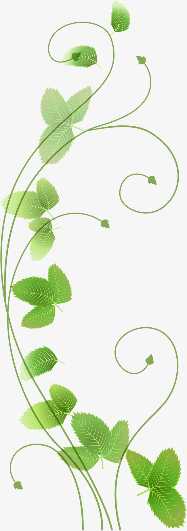 绿色简约植物装饰图案