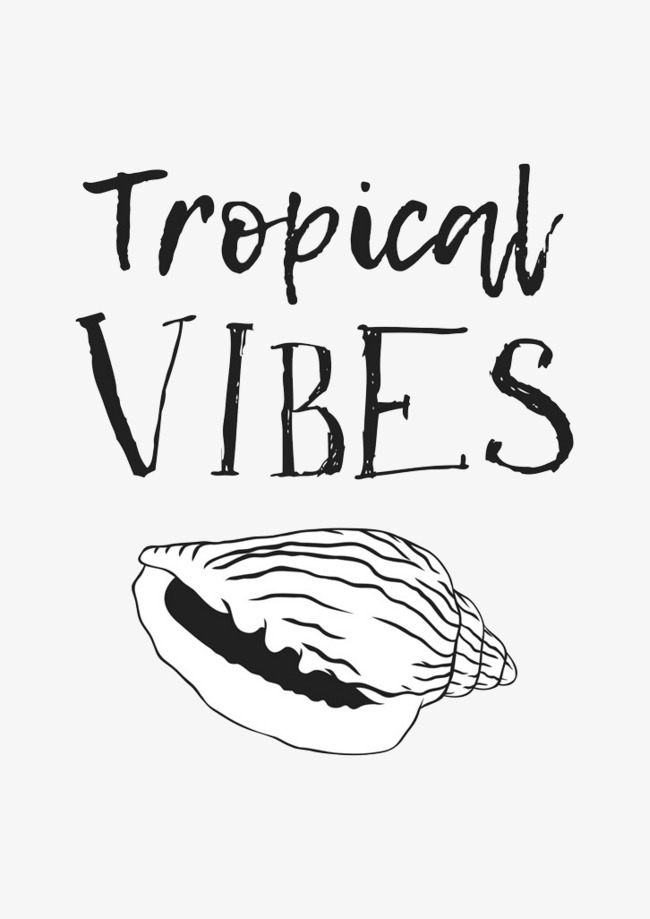 水彩海螺png素材-90设计