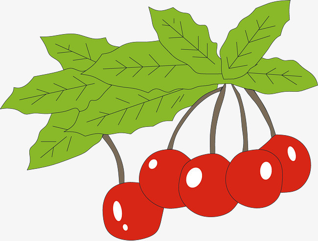 卡通绿叶红色果实水果樱桃