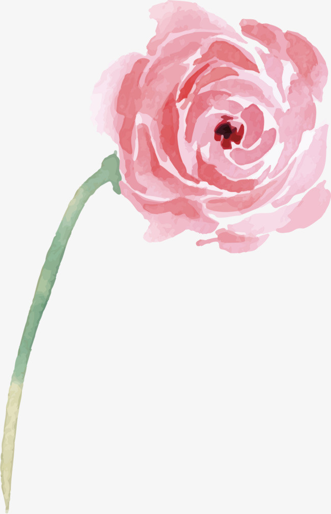 粉色手绘玫瑰花矢量素材