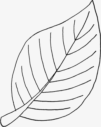 手绘树叶