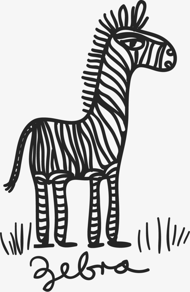 手绘的斑马