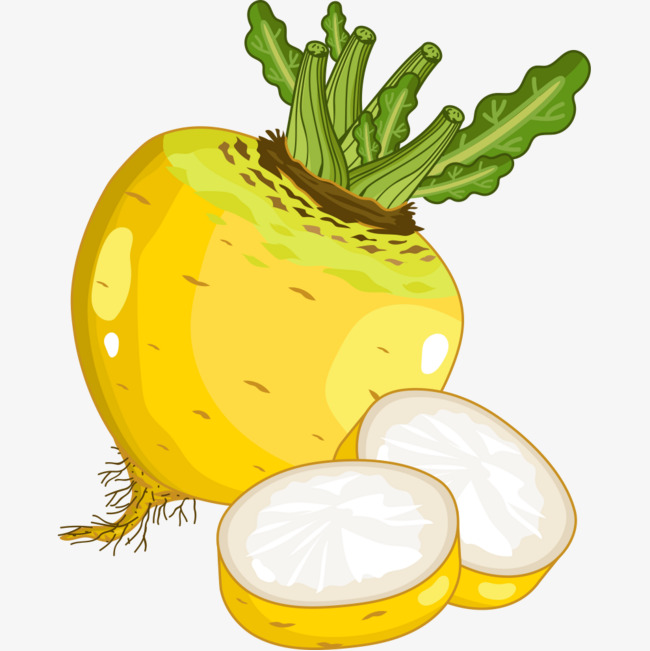 卡通萝卜_黄色萝卜png素材-90设计