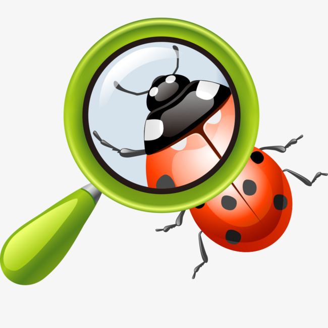 放大镜下的虫子