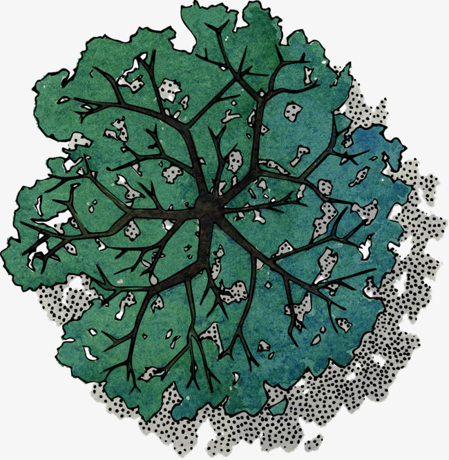 纯原创手绘树插画大树小树春天绿色