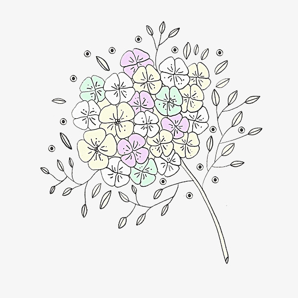 花团锦簇的图片简笔画图片
