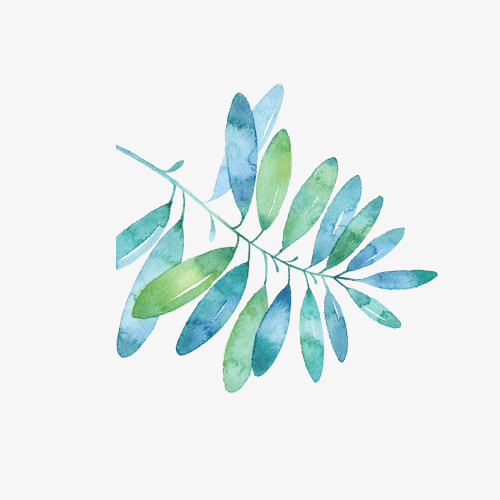 手绘卡通_手绘树叶png素材-90设计