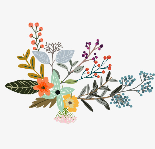 彩绘植物