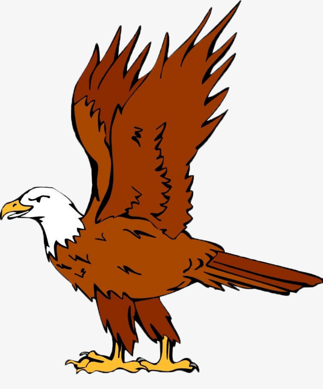 卡通小龙虾的造型