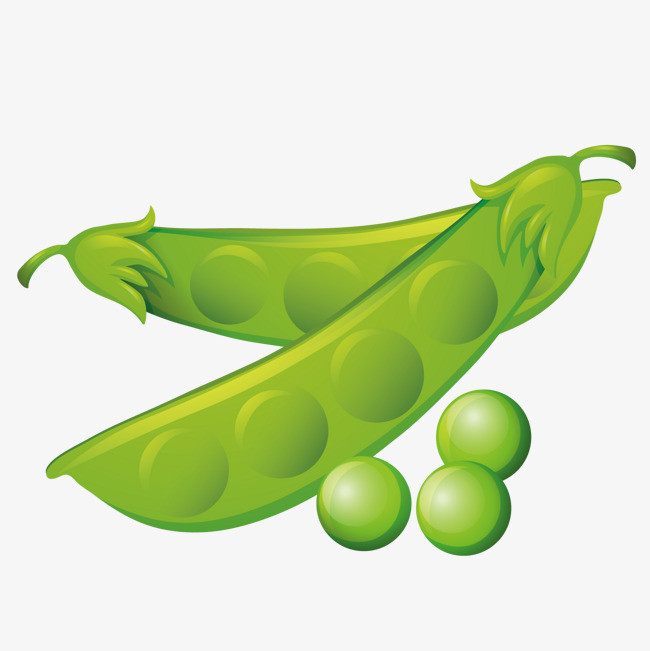 矢量豆荚