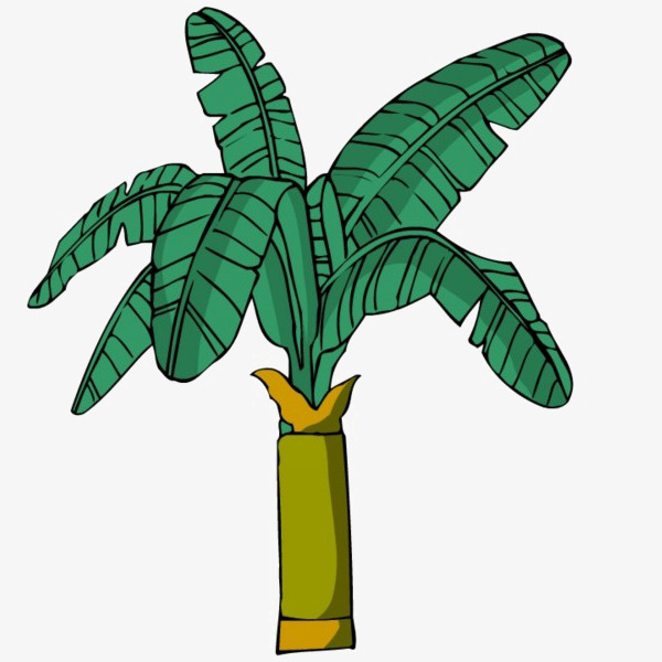 手绘芭蕉扇