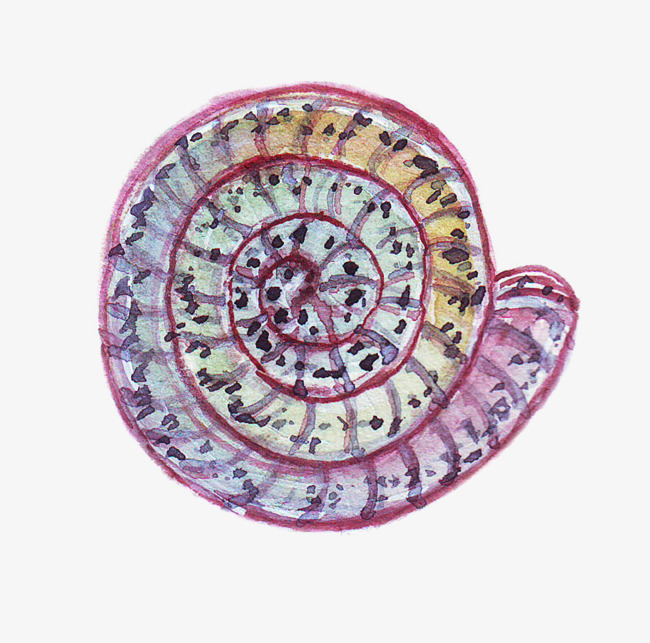 蜗牛壳简图png素材下载_高清图片png格式(编号:18687486)-90设计