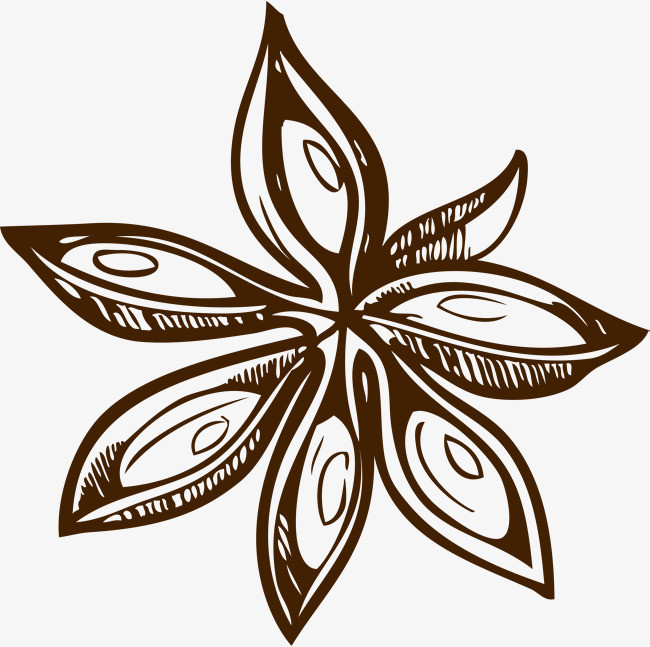 手绘卡通风格八角大料调料免扣元素