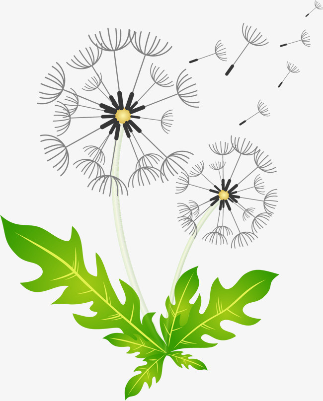 手绘蒲公英图案
