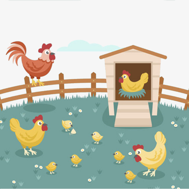 手绘鸡场