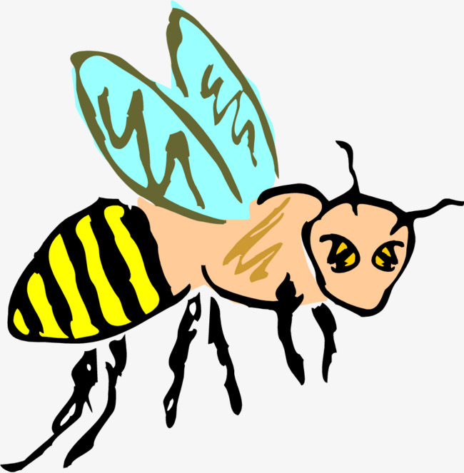 动物插画卡通蜜蜂