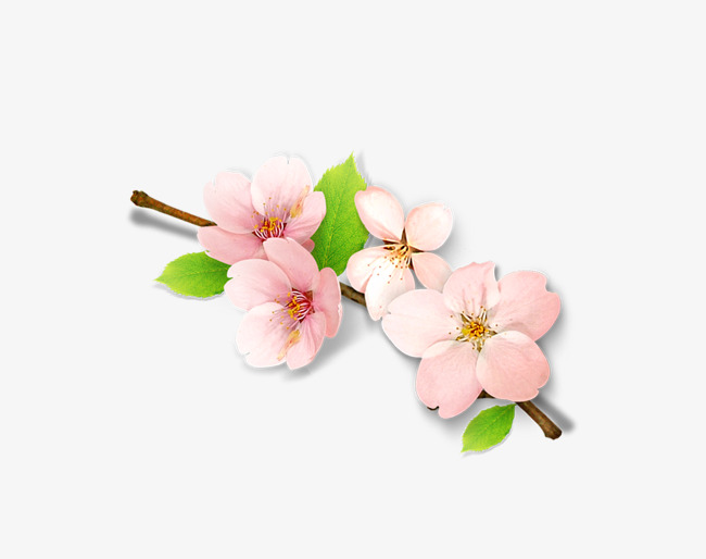 桃花装饰品免抠图案图