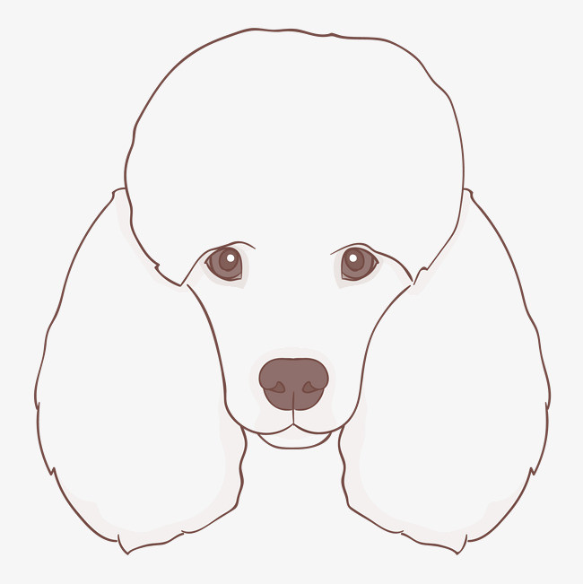 手绘的泰迪