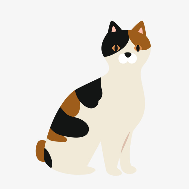 一只花猫