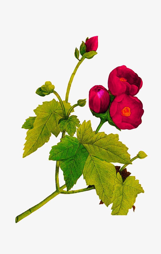 彩绘花朵png素材下载_高清图片png格式(编号:18834590)-90设计