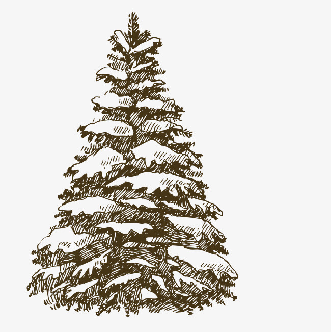 手绘松树