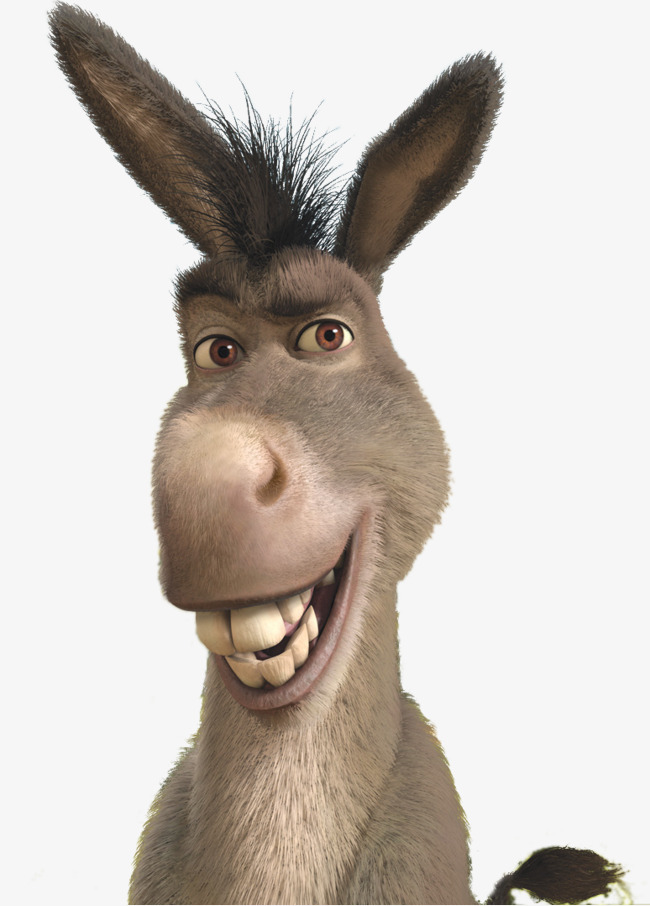 卡通动物小毛驴手绘插画