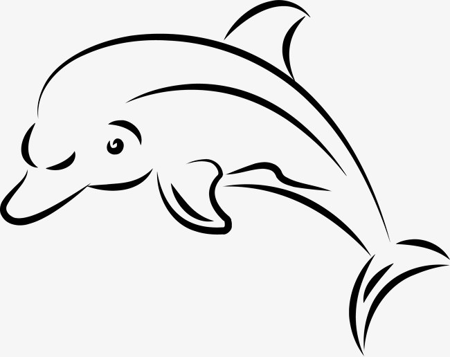 海豚黑白线描画图片