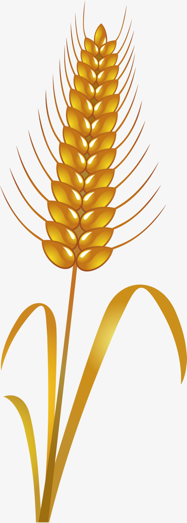 国潮手绘风二十四节气小满稻穗元素设计