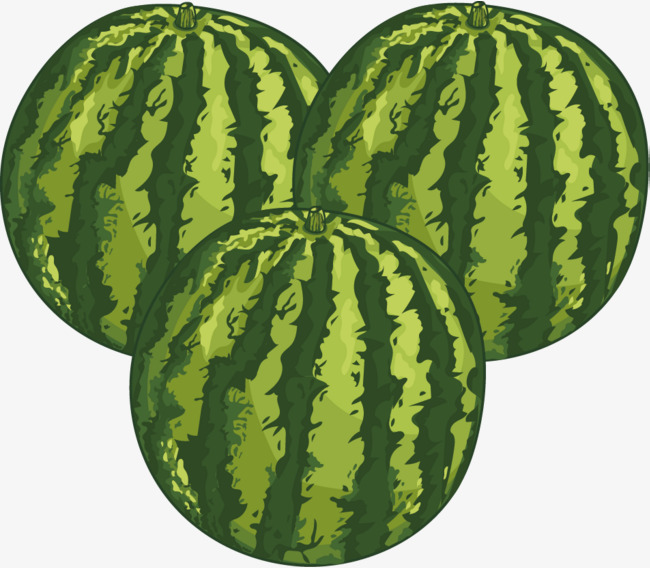 西瓜装饰设计矢量图案