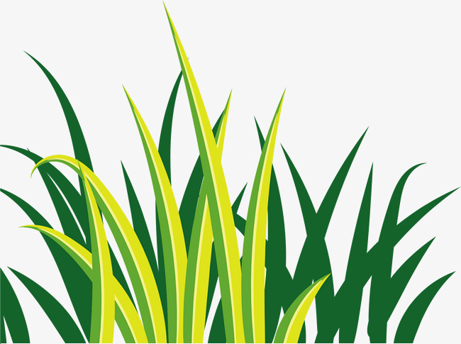 手绘绿色草丛小草_png素材免费下载_ 2001*1491像素(编号:18899658)_9